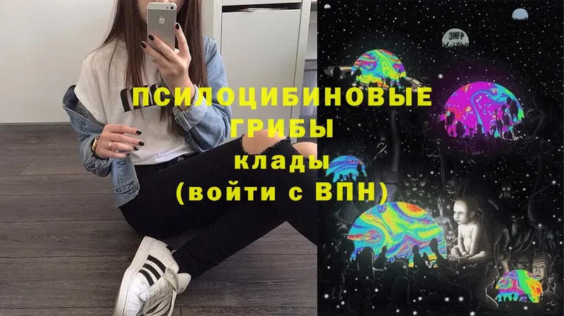 Галлюциногенные грибы Magic Shrooms  Сафоново 